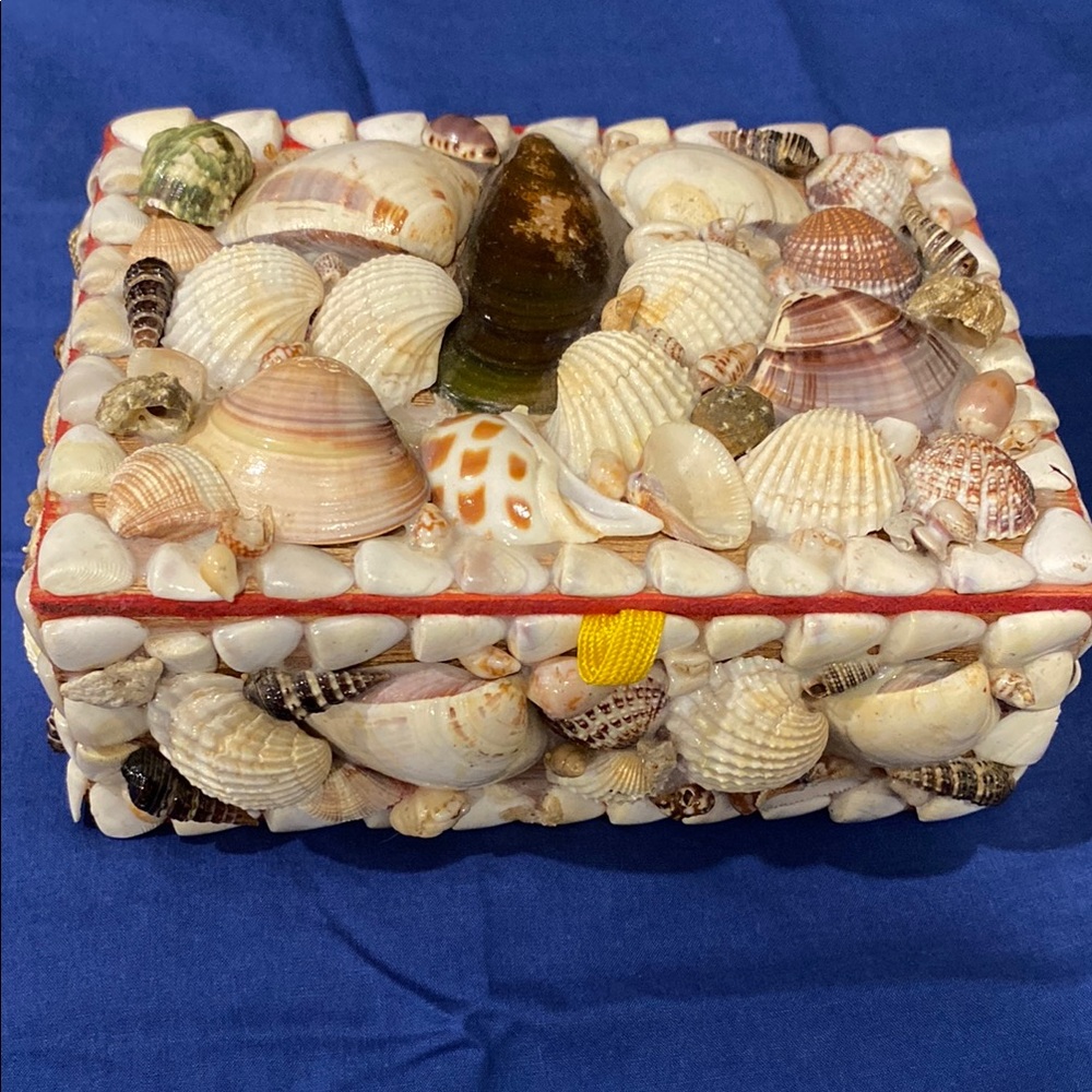 Vintage Red Velvet Lined Seashell Decorative Box Trinket Storage Nautical